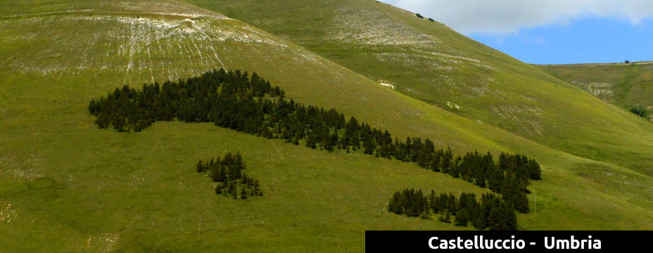 Umbria
