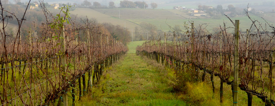 Umbria