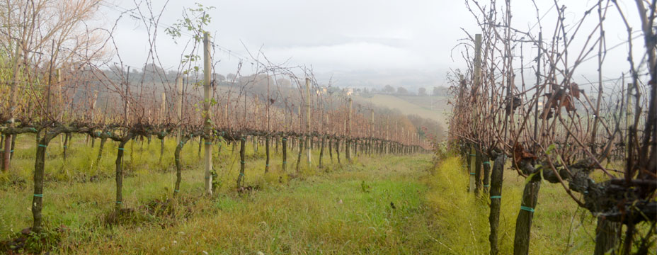 Umbria