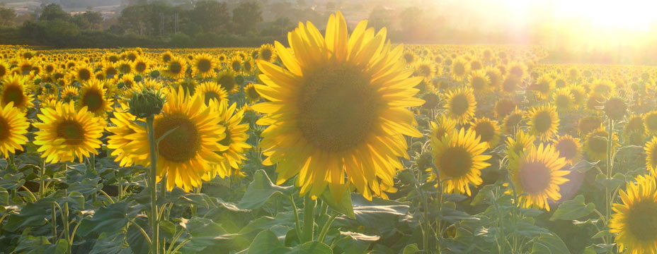 Umbria